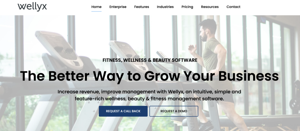 Wellyx Review